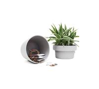 Suck UK Ceramic Plant Pot Hideaway 15.5cm Suck UK Multicolor