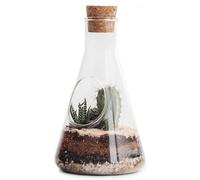 Suck Uk Chemistry Terrarium Kit 12 X 22.5Cm