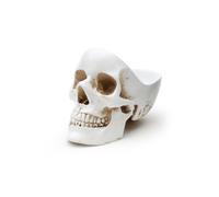 Suck UK Skull Tidy Jewellery Organiser / Key Bowl & Room Decor White Suck UK White