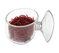 Sucritude Shrimp Feeder | Food Dispenser with Suction Cup - Red Worm Bowl | for Shrimp Betta Turtle Crab Frog Gecko Bearded Dragon Tortoise Reptile Snake Spider Terrarium Tank