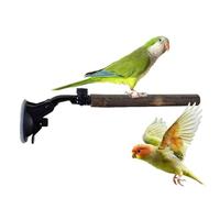 Suction Cup Bird Perch - 9.84 Inch Peony Cockatiel Tree Branch Wall Glass Përch | Breeding Supplies Bathing Wall Training Interactive Perch For Birdspp Wood.