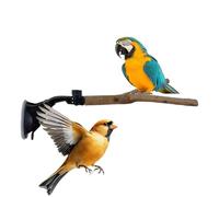 Suction Cup Bird Perch - 9.84 Inch Peony Cockatiel Tree Branch Wall Glass Perch | Breeding Supplies Bathing Wall Training Interactive Perch For Birds. Pp Wood.