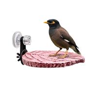 Suction Cup Bird Perch Stand With Resting Tray - Frosted Window & Cage Moving Rod For Parrots | Non-Slip Claw Grinding & Beak Trimming Perch For Cockatiels, Parakeets, Conures & Finches