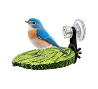 Suction Cup Bird Perch Stand With Resting Tray - Frosted Window & Cage Moving Rod For Parrots | Non-Slip Claw Grinding & Beak Trimming Perch For Cockatiels, Parakeets, Conures & Finches