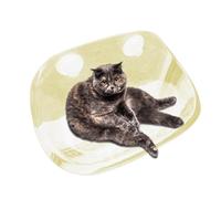 Suction Cup Cat Bed - Suction Cup Cat Hammock, Indoor Window Perch Seat | Shelves for Smooth Surfaces, Strong Resting Bed for Glass, Marble, Metal, Space-Saving Pet Shelf