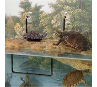 Zoomed Island Turtle Dock Suction Cups, 4-Piece