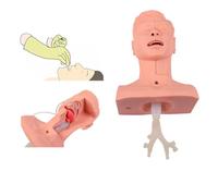 Suction Practice Model,Sputum Suction Nursing Model,Sputum Suction Practice Simulator,Advanced Suction Practice Model Aspiration of Sputum Teaching Model