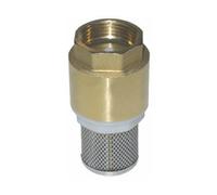 Suction strainer with foot valve