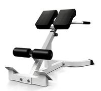 SUCXDZQ Roman Chair Back Extension Machine, Adjustable Hyperextension Bench - Hamstring Back Exercise Equipment, White