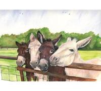 Sue Podbery Collection Four Curious Donkeys 1000 Piece Puzzle