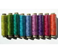 Sue Spargo Ellana Wool Blend Thread for Embroidery - Nine 70-Yard Spools, Matches The ''House" Colorway 1 Wool Applique Pack