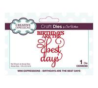 Sue Wilson - Mini Expressions - Birthdays are The Best Days - Craft Die die Size 4.8 x 6.3 cm