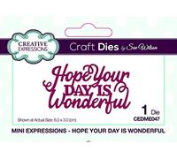 Sue Wilson Mini Expressions Collection Die-Hope Your Day is Wonderful, Metal, 3 x 6 cm