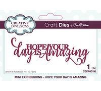 Sue Wilson - Mini Expressions - Hope Your Day is Amazing - Craft Die