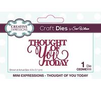 Sue Wilson - Mini Expressions - Thought of You Today - Craft Die
