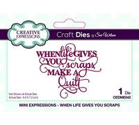 Sue Wilson Mini Expressions - When Life Gives You Scraps Die Set, Metal, 8.4 x 7.2 cm, CEDME042