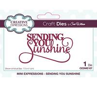 Sue Wilson - Mini Sentiments - Sending You Sunshine - Craft Die