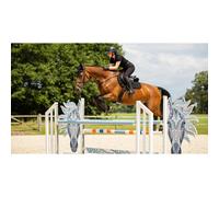 Suede saddle pad for horses LeMieux Close Contact Square