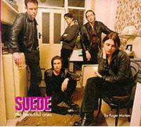 "Suede": The Beautiful Ones