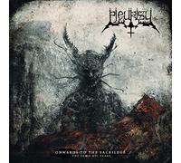 Südsee,Sehnsucht & Skorbut