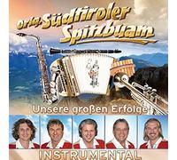 Südtiroler Spitzbuam,Original - Unsere Großen Erfolge-Instrumental