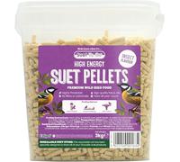 Suet To Go Insect Suet Pellets Tub 3kg - High Energy Wild Bird Food, Protein & Fat, Attracts Robins & Tits