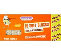 Suet To Go Mealworm Suet Block Wild Bird Treat, 300 g ( Pack of 10) (Packaging may vary)