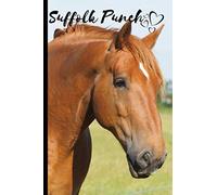 Suffolk Punch Horse Notebook For Horse Lovers: Composition Notebook 6x9" Blank Lined Journal