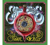 Sufjan Stevens - Silver Gold - New CD - N123z