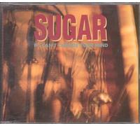 Sugar (Bob Mould's Group) - If I Cant Change Your Mind