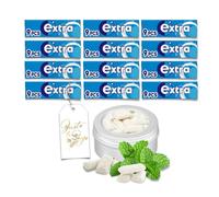 Sugar-Free Peppermint Chewing Gum Bundle | 12 Packs Fresh Breath Gum with Screw Lid Storage Tin & Gift Tag | Handy for Travel & Daily Use