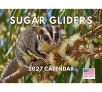 Sugar Glider Calendar 2027 Monthly Wall