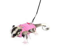 Sugar Glider Harness and Leash Set Adjustable Comfort Harness for Sugar Glider Small Animal Training Walking Vest Leash