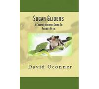 Sugar Gliders