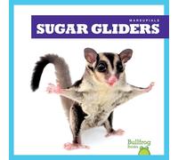 Sugar Gliders (Marsupials)