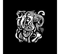 SUGAR HORSE - TRUTH OR CONSEQUENCES, NEW MEXICO