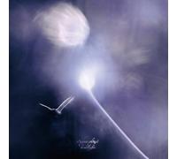 Sugar Plant - Headlights [Vinyl LP] [VINYL]