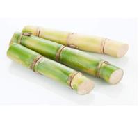 Sugarcane Fresh Juicy 1 Kg