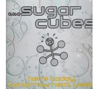 SUGARCUBES - HERE TODAY TOMORROW NEXT WEEK LP (VINYL) GERMAN ROUGH TRADE 1989 (Katalog-Nummer: RTD125)
