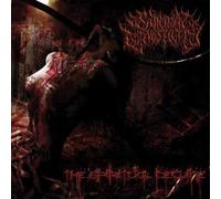 Suicidal Causticity - The Spiritual Decline