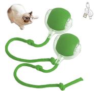 SuiHeill Cat Interactive Ball Toys Automatic Rolling Ball Faux Tail Rechargeable Smart Pet Toy Dog Cat Training Imitate Mouse(2PC Green)