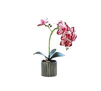 SUIOPPYUW Artificial Orchid Flower Bonsai with Pot Potted Phalaenopsis Home Garden Decor Bright Color 8 Flowers Plant Decoration, Rose red