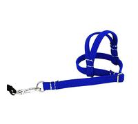 SUIOPPYUW High Elasticity Bird Ropes - Wide Application For Various Birds Adjustable Parrot Harness Blended Bird Harness, blue
