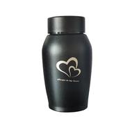 SUIOPPYUW Keepsake Urn Memory Memorial Pet Remembrance Gift Storage Box For Ashes Of Medium Small Dogs Cats Waterproof Supplies Container Pet Urns For Dogs Ashes Cats Cremation Urn Kitten