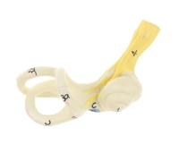 SUIOPPYUW Precise Ear Semicircular Canal Model Magnification 5X Human Ear Model Teaching Aid for Better Understanding Anatomical Cochlea Models Anatomy