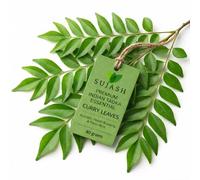 SUJASH Fresh Curry Leaves 40 g Aromatic Ingredient for Daily Indian Cooking