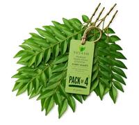 SUJASH Fresh Curry Leaves 40g Aromatic Ingredient for Daily Cooking 4 Pack