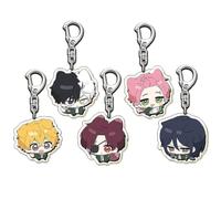 SUJEBRAN 5 Pack Wind Breakers Keychain Anime Figures Collection Wind Breakers Cute Acrylic Keyring Bag Charms