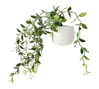 SUJING 1pcs Cute Succulent Plant Magnetic Refrigerator Magnets Cute Home Decor Refrigerator Stickers Creative Notice Message Magnetic Stickers Gift (D(1pcs))