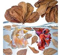 Sukh 30PCS Indian Almond Leaves for Betta - Catappa Leaves for Aquariums Almond Leaves Betta Water Conditioner Aquarium Shrimp Tank Betta Tank Decorations Betta Leaf Hammock Betta Fish Tank